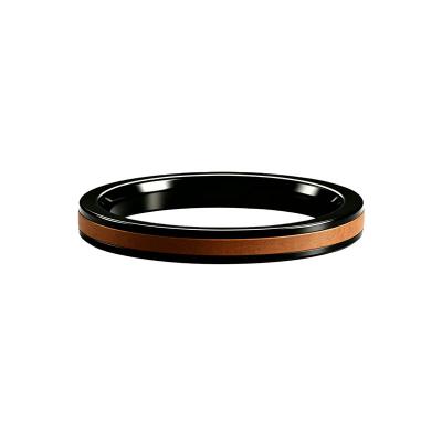HPGA Çift etkili PTFE Piston Keçesi